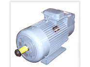 YZR起重電機(jī)